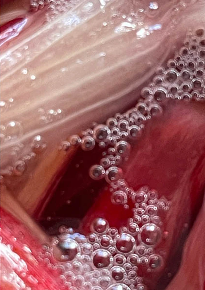 MAFFOOD dinner shots