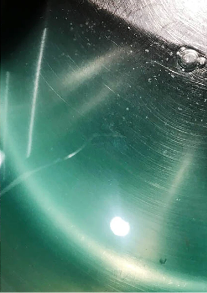 MAFFOOD dinner shots