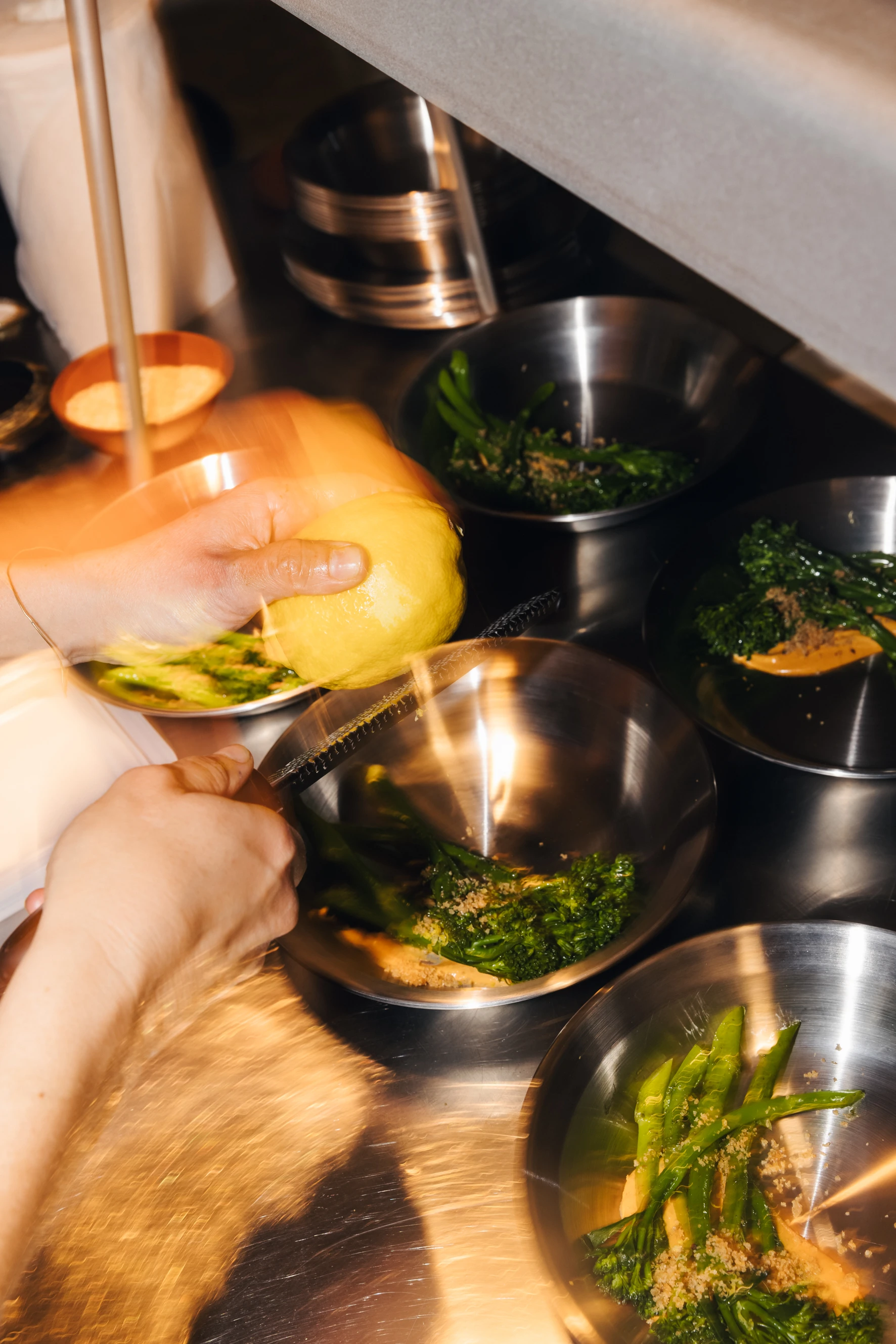 mf service -brocollini