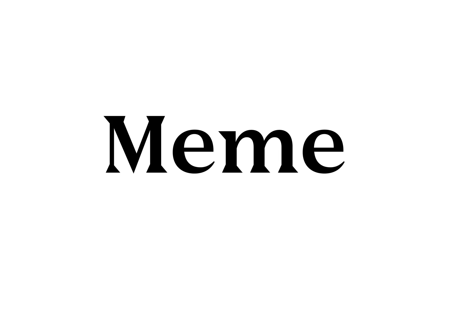 Chapter opener featuring the name Meme